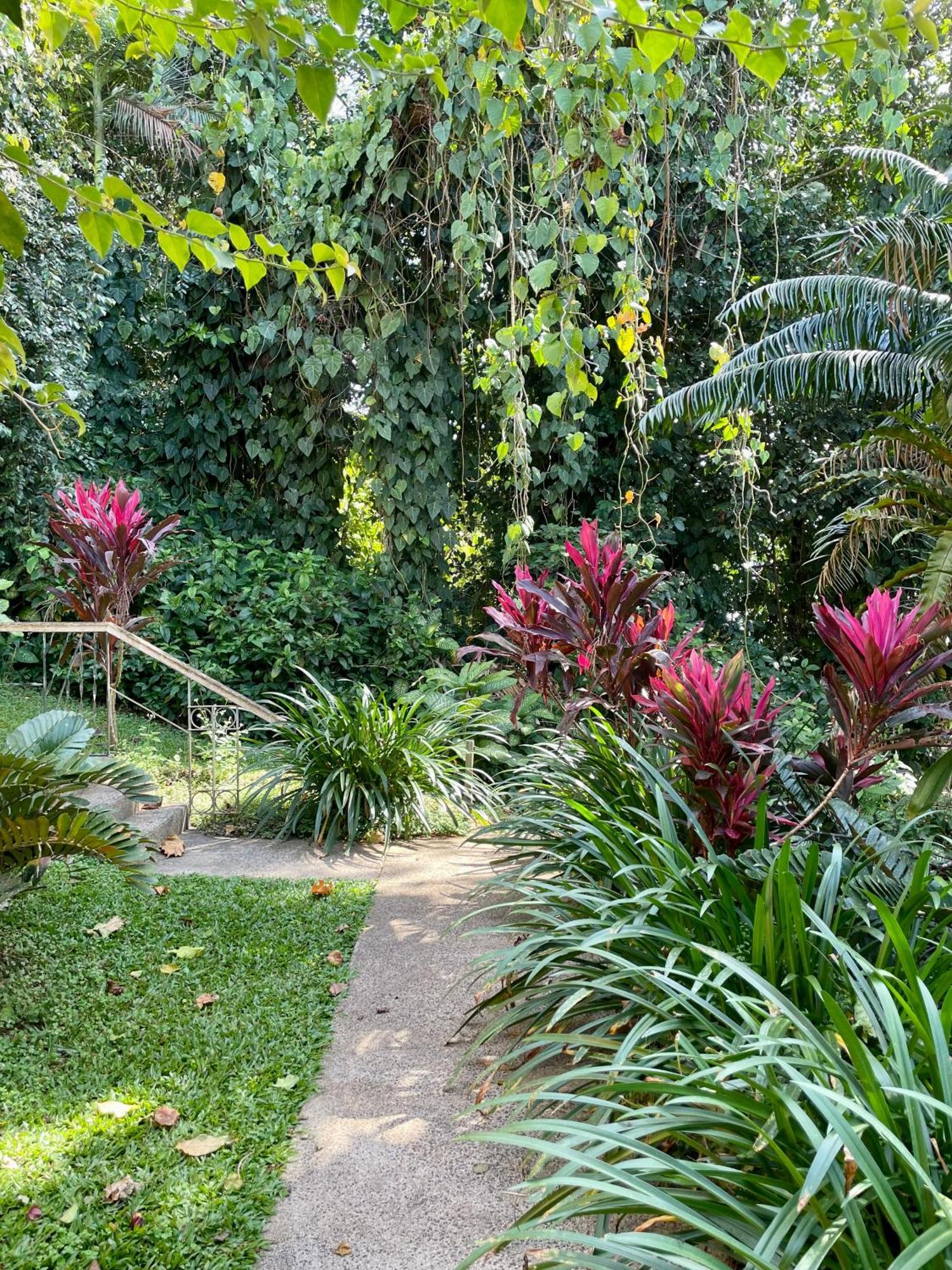 Babinda Quarters Hotel Kültér fotó